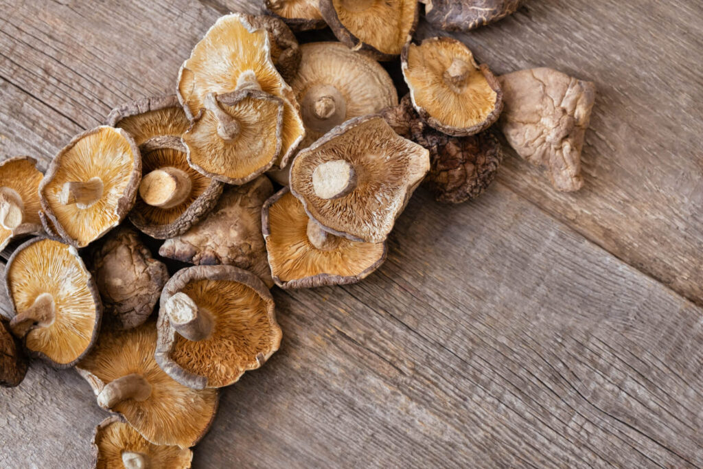shiitake