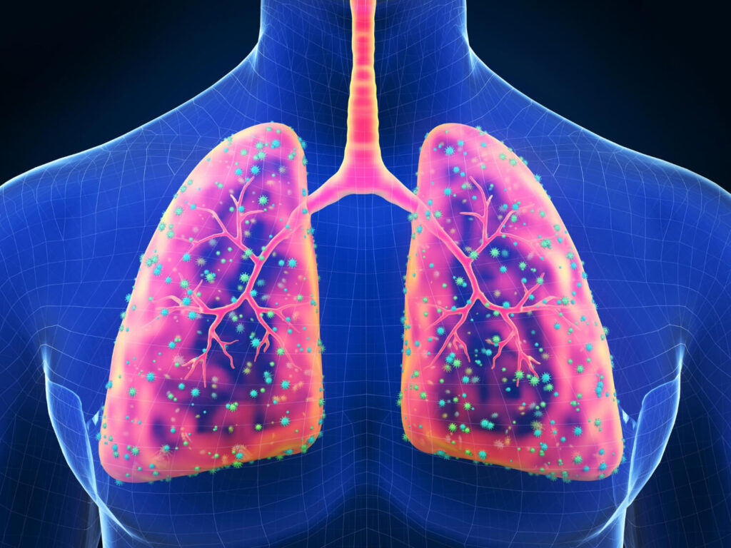 sistem respirator
