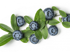 Suplimente Antioxidanți