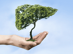 Suplimente Alimentare & Vitamine Ficat